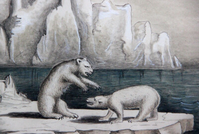 O.T. (Eisbären in arktischer Landschaft) Detail Bleistift und Wasserfarbe auf Papier, Frankreich, Mitte 19. Jahrhundert